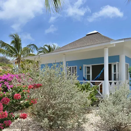 Chogogo Resort-2